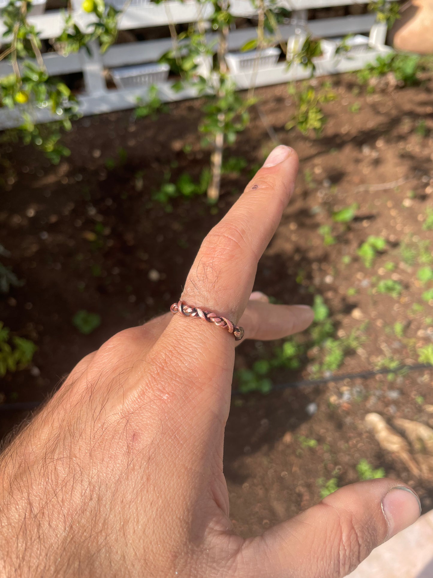 טבעות